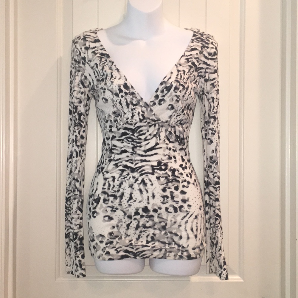 EUC Express V-Neck Leopard Print Long Sleeve shirt